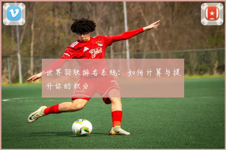 世界羽联排名系统：如何计算与提升你的积分
