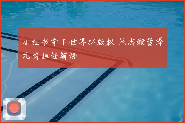 小红书拿下世界杯版权 范志毅管泽元将担任解说