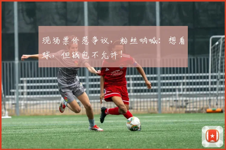现场票价惹争议,粉丝呐喊:想看球,但钱包不允许!