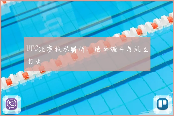 UFC比赛技术解析：地面缠斗与站立打击