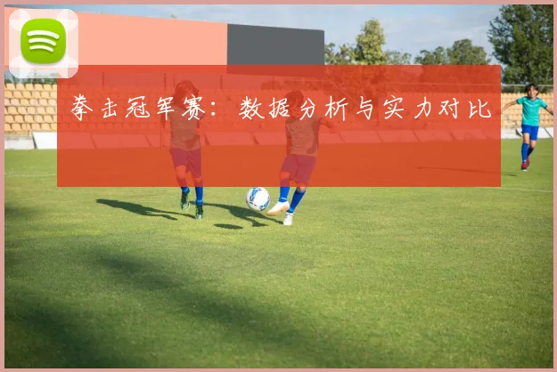 拳击冠军赛：数据分析与实力对比