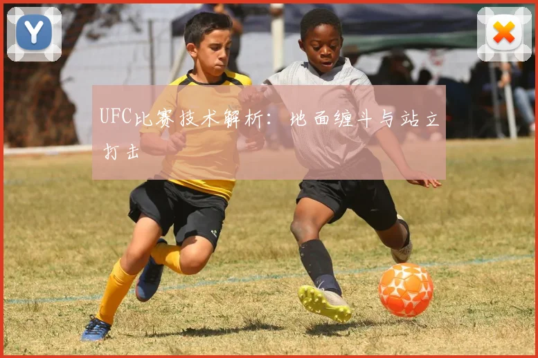 UFC比赛技术解析：地面缠斗与站立打击